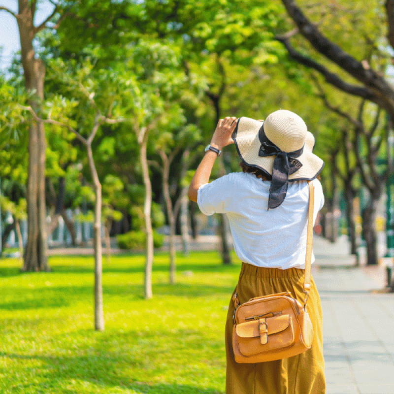 Why Orientation Matters